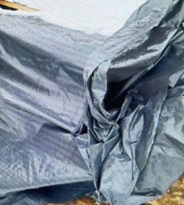 На Львівщині повідомили про підозру селянину зі Стрийщини, який назрубав смерек на майже мільйон гривень