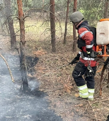 Пожежа внаслідок обстрілу спалахнула у хвойному лісі на Харківщині