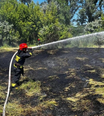 Сили ППО знищили над Дніпропетровщиною безпілотник військ РФ