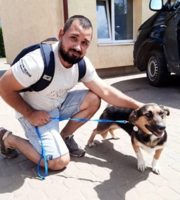 11 собак та кота з ЛКП Лев прилаштували за 2 тижні. Фото тварин і нових господарів