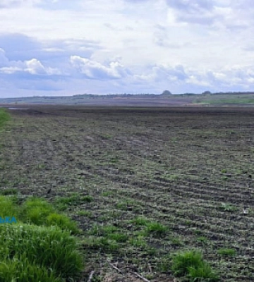 На Дніпропетровщині державі повернули землі заказника вартістю 120 мільйонів гривень