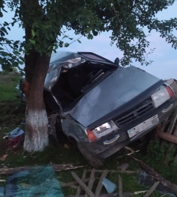 Зіткнувся з деревом: смертельна ДТП в Самбірському районі
