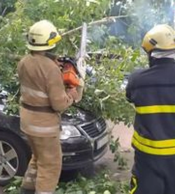 Повалені дерева, затоплені вулиці, провалля на асфальті - наслідки нічної негоди у Кременчуці