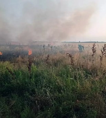 З початку року на Дніпропетровщині пожежі знищили понад 800 гектарів екосистем