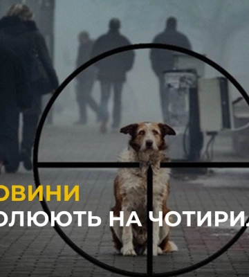 Пси у небезпеці: у Львові знову орудують догхантери
