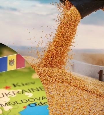 Молдова погодила 27% знижки на транзитні перевезення української агропродукції