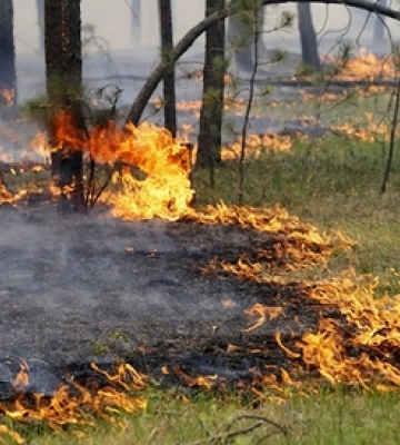 На Волині попереджають про надзвичайну пожежну небезпеку