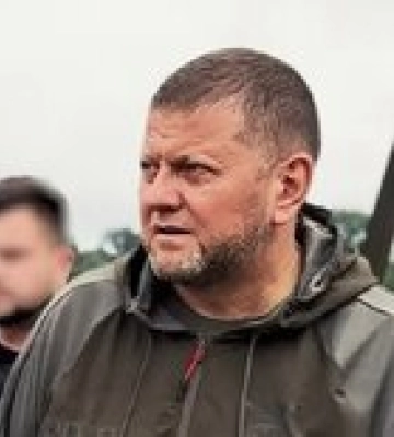 &quot;Мне наплевать&quot;. Залужный обещает отвоевать Крым, несмотря на волнения некоторых союзников