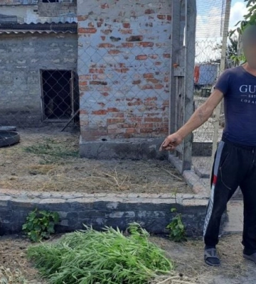 Полицаи-предатели из Мелитополя собрали "урожай наркотиков"