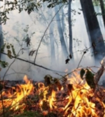 На Волині передбачають надзвичайну пожежну небезпеку п&#039;ятого класу