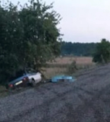 Після зіткнення автівки з деревом на Львівщині загинув водій
