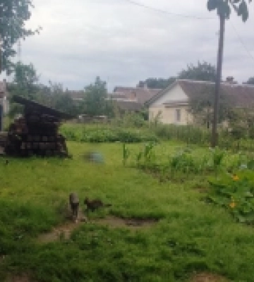 Вдарився головою об двері та втратив свідомість: у Костополі молодик до смерті побив знайомого