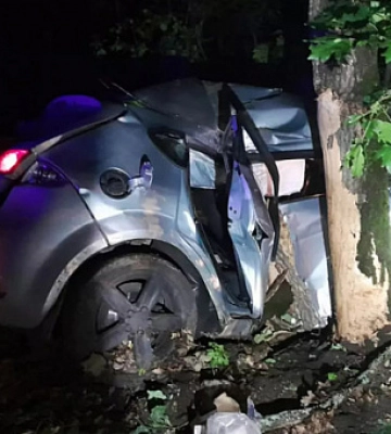 Автівка влетіла в дерево: унаслідок ДТП на Дніпропетровщині постраждали 4 людини