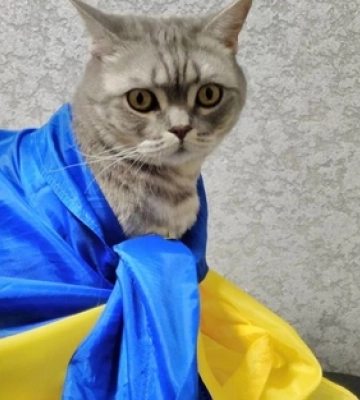 Головне у Луцьку: ТОП новин за суботу, 15 липня