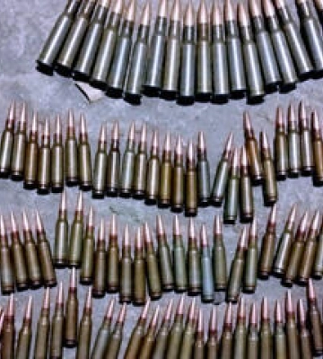 На Полтавщині чоловік вдома зберігав наркотики, гранати та 150 патронів різних калібрів