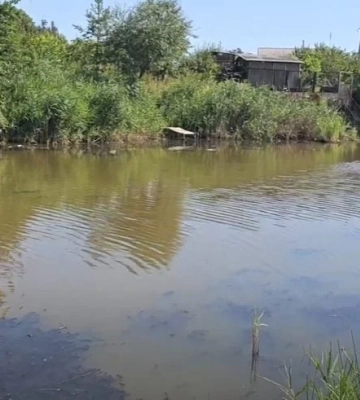 У передмісті Дніпра мешканці жаліються на забруднення річки Кільчень