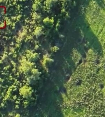 Під Бахмутом українські прикордонники знищили ворожий бліндаж: ліквідовано 4 окупантів. ВIДЕО