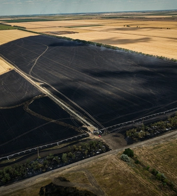 На Миколаївщині спалахнуло поле пшениці та лісосмуги через необережне поводження з вогнем: рятувальники ліквідували пожежу