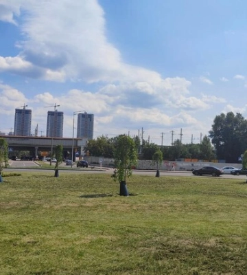 У Києві вперше застосували інноваційний спосіб для поливу дерев