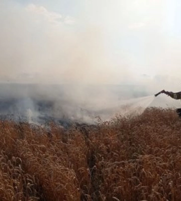 Внаслідок ворожих обстрілів на Миколаївщині виникла пожежа