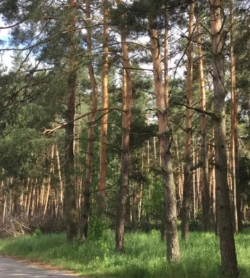 У Дарницькому районі Києва проходять військові навчання