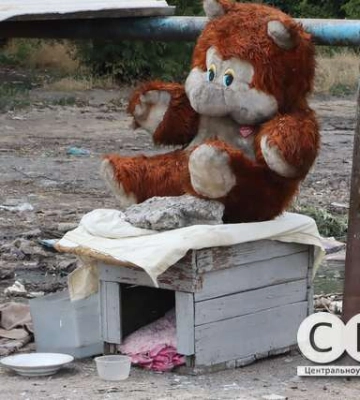 У Кропивницькому на Балашівці утворили стихійне сміттєзвалище (фоторепортаж)