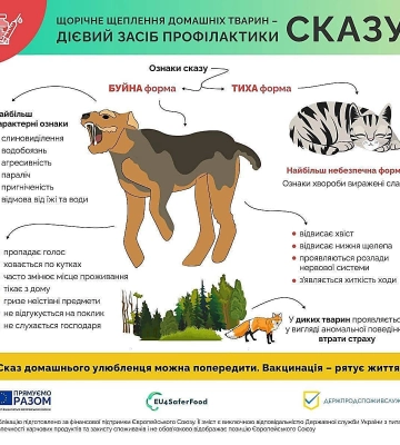 В Миколаївській ОВА закликали вакцинувати тварин від сказу та в разі потреби звернутись до спеціалістів