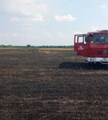На Черкащині згоріло 20 гектарів пшениці