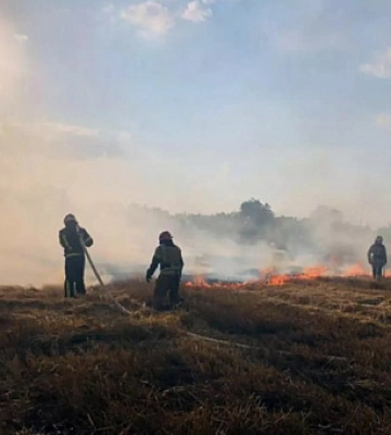 На Дніпропетровщині під час пожежі просто у полі постраждав чоловік, - ДСНС. ФОТО