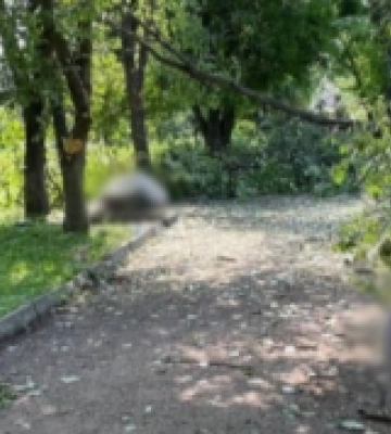 Зросла кількість жертв через обстріл Білопілля