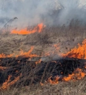 На Берегівщині ліквідували пожежу сухої трави