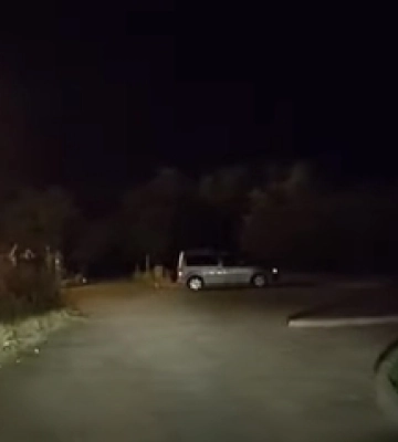 В Луцьку біля будинку Голованя завівся хижий звір (відео)