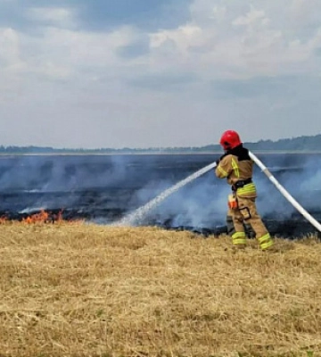 У Криворізькому районі горіло сільгоспугіддя