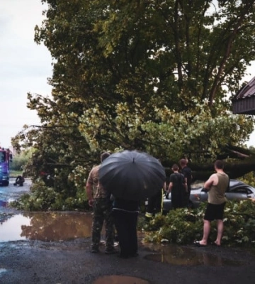 Ужгород накрив шторм: повалено десятки дерев, затоплено вулиці. Фото і відео