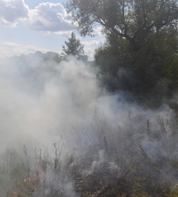 У Рівненському районі горіли суха трава та чагарники
