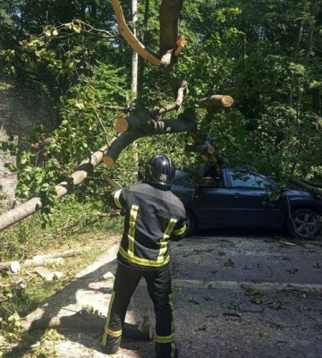 Рятувальники Закарпаття ліквідовують наслідки негоди