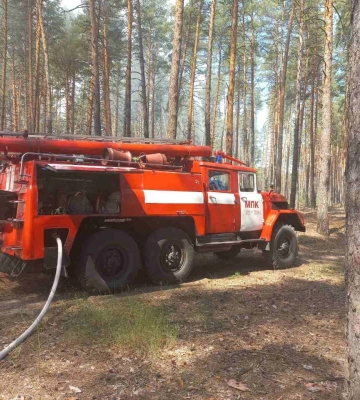 На Харьковщине из-за обстрела случился пожар в хвойном лесу