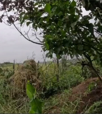 Маємо успіхи та просування на Бахмутському напрямку. Ворог місцями опиняється в пастці, - Сирський. ВIДЕО