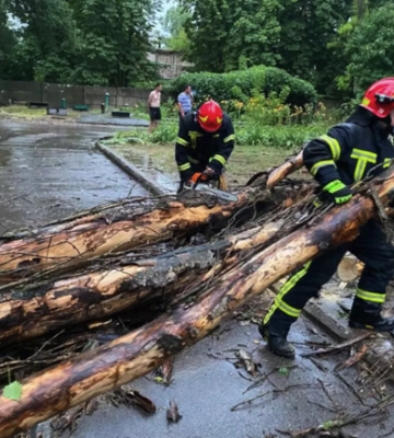 Прибрали дерева з проїжджої частини та автівки: на Дніпропетровщині рятувальники ліквідовували наслідки негоди