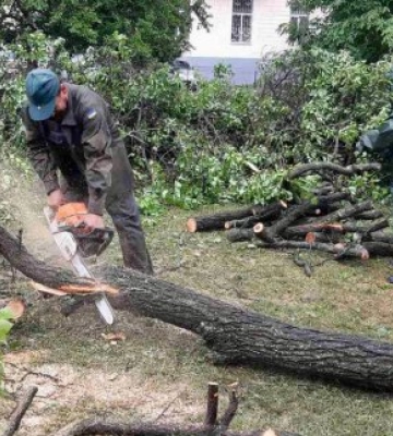 У Харкові усувають наслідки негоди: дані мерії
