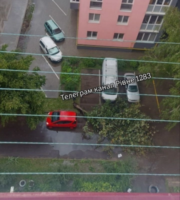 Пощастило: у Рівному дерево дивом не зачепило авто