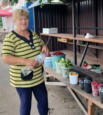 На Волині триває сезон збору чорниць