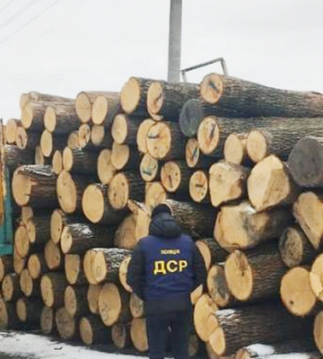 На Житомирщині підуть під суд «чорні лісоруби»