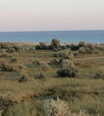 Партизани виявили нову лінію оборони окупантів у Криму та її слабкі місця 