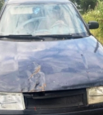 Позичив авто в жителя Острога і хотів його продати: на лаві підсудних опинився рівнянин