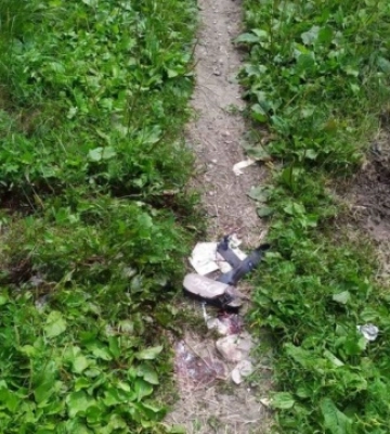 На Харківщині жінка зазнала поранення, наступивши на вибуховий предмет