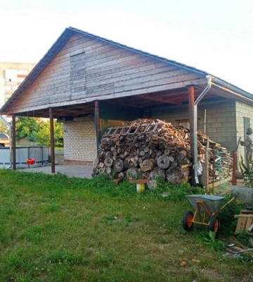 На півночі Рівненщини рятувальники знищили кубло осей