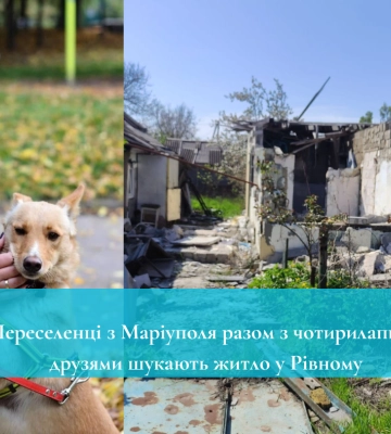 Переселенці з Маріуполя разом з чотирилапими друзями шукають житло у Рівному