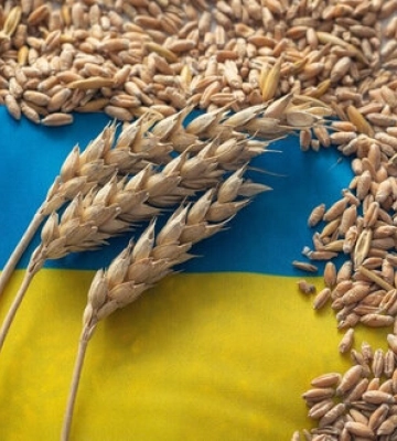 Столтенберг созывает заседание Совета Украина-НАТО 26 июля