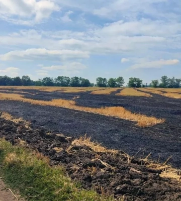 На Дніпропетровщині за один день згоріло більше 9 гектарів сільгоспугідь